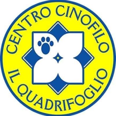 LOGO CINO